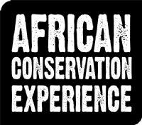 African Conservation Experience logo